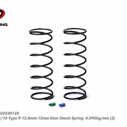 1/10 Type R Rear Shock Spring 0.095kg/mm Red+Green (2)