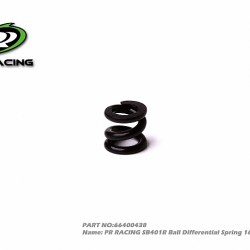SB401R Ball Differential Spring 16.5kg/mm Black (1)