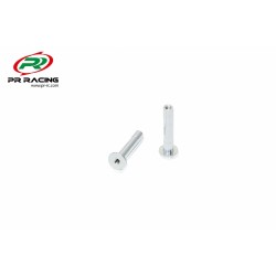 Steering Posts-2pcs for PR SB401 Steering Posts-2pcs for PR SB401