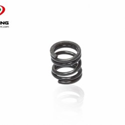 Steering Servo Saver Spring 1.7mm