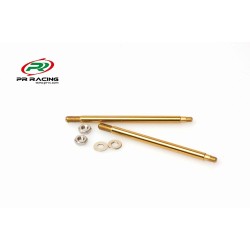 Rear Titanium Nitride Shock Shaft -49mm For Type R(2pcs)