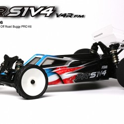 2wd Buggies