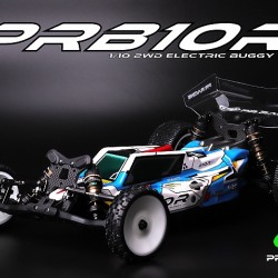 2wd Buggies