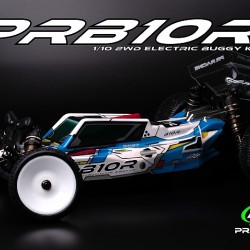 2wd Buggies