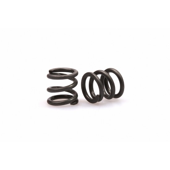 Slipper Spring Set 3.6Kg/mm, PR SB401R